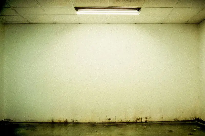 Empty basement room with dark stains spreading along the lower walls